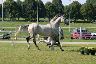 chocco_126_2631_w.jpg