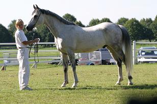 chocco_126_2650_w.jpg