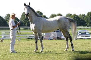chocco_126_2651_w.jpg