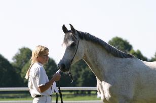 chocco_126_2652_w.jpg