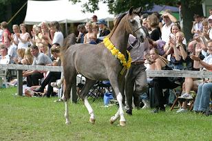 jbffemmeffatale_133_3350w.jpg