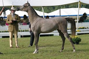maeleira_130_3024w.jpg