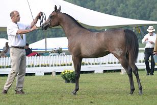 maelleah_130_3001w.jpg