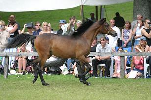 migracja_133_3338w.jpg