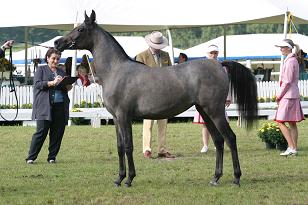 qadzurina_130_3016w.jpg