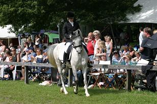 linda_chocco_132_3282w.jpg