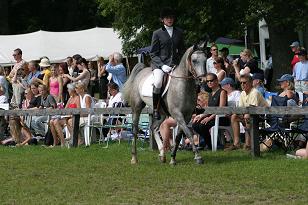 okand_gaugan_132_3285w.jpg