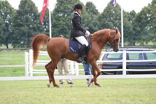 erika_chiron_133_3308w.jpg