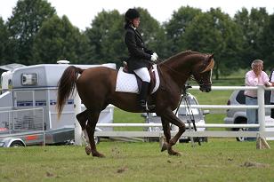 janni_ccchagal_133_3309w.jpg