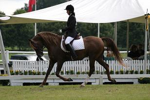 janni_ccchagal_133_3312w.jpg