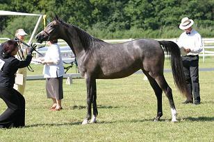 goldheart_126_2700w.jpg