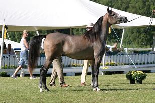 lillaalisah_126_2683w.jpg