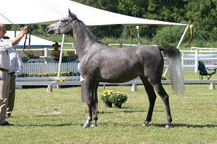 sorella_127_2701w.jpg