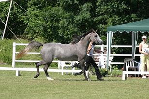 bentoda_127_2723w.jpg