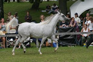 maetropica_133_3336w.jpg