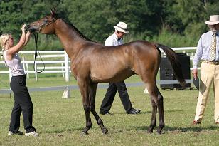 macattraction_130_3057w.jpg