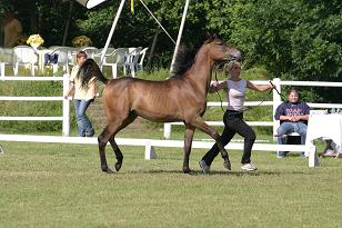 macattraction_130_3058w.jpg