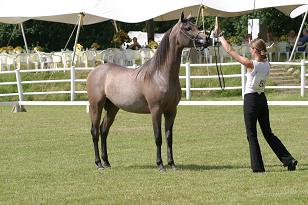 mambo_127_2774w.jpg