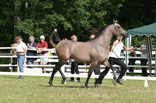 mambo_133_3356w.jpg