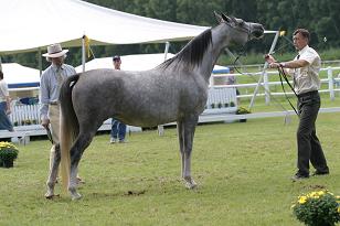 baronna_128_2816w.jpg