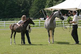 baronna_128_2845w.jpg