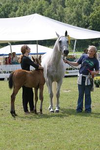 golda_128_2841w.jpg
