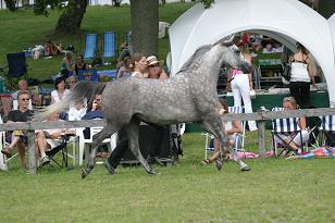 berninna_128_2871w.jpg