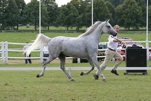 haritcza_128_2854w.jpg