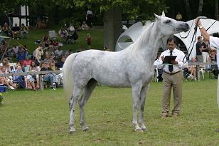 haritcza_128_2877w.jpg