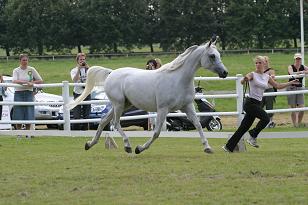 img_128_2857w.jpg