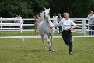 img_128_2890w.jpg