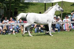 img_128_2896w.jpg
