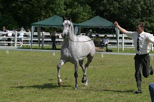 modesty_128_2897w.jpg