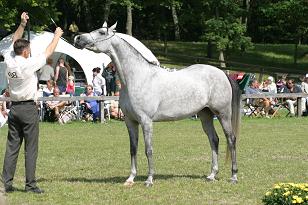 modesty_128_2898w.jpg