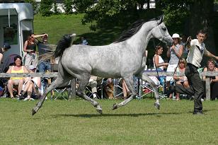 modesty_129_2906w.jpg