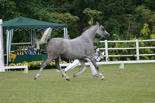 nica_128_2862w.jpg