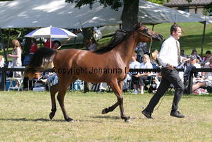 bintfaridnilemoon_9510.jpg