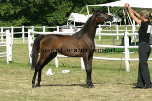 monessa_9501.jpg
