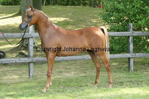 rohararebecca_9498.jpg