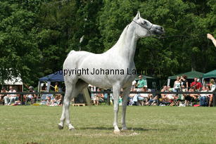 sensation_9354.jpg
