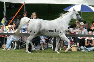 sensation_9356.jpg