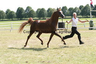 wanila_9872.jpg