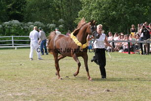 wanila_9960.jpg