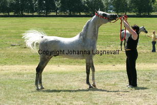 cakova_9679.jpg
