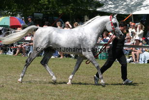 cakova_9728.jpg