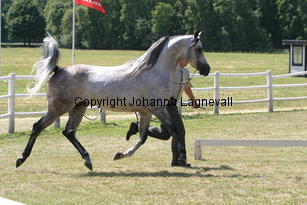 margant_9642.jpg