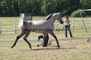 margant_9644.jpg