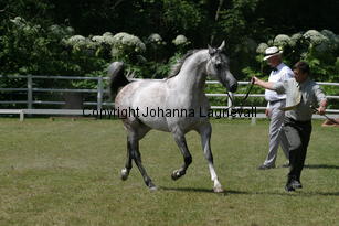 margant_9677.jpg
