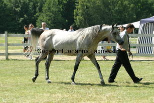 margant_9715.jpg