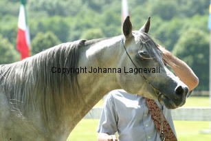 margant_9723.jpg